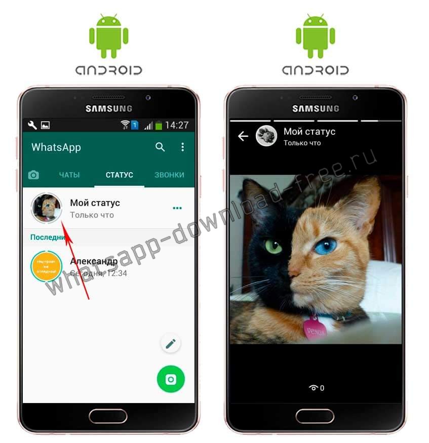 Как поставить картинку на статус в ватсапе